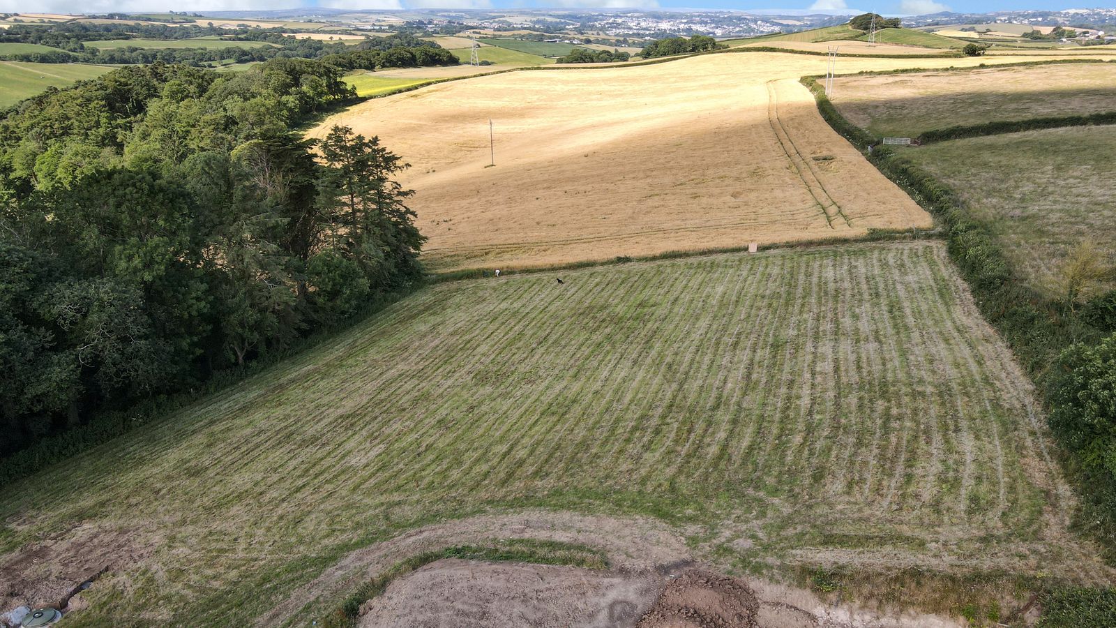 Meadow Home, North Devon — image 10